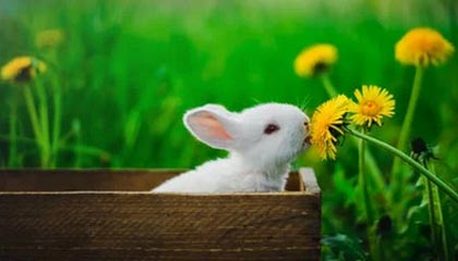 AYX官网-世界杯预选赛U23国足出战 数据分析揭示问题，u23世界杯百度百科