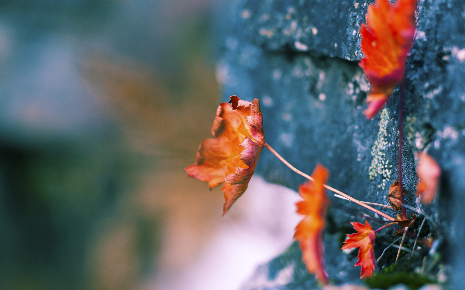 美国男足在巴黎奥运会比赛中以3-1击败巴西，奥运美国足球