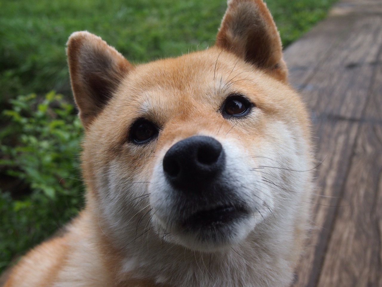 中国足球比赛节奏控制研究,中国足球比赛节奏控制研究报告