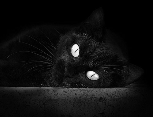 中国女篮战术打法日趋多元 攻防节奏提升，中国女篮打篮球