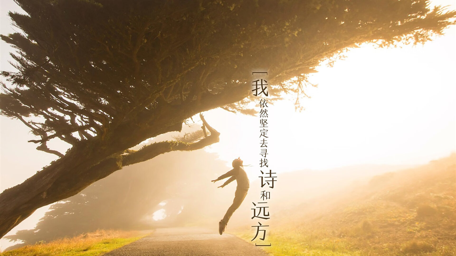 压哨三分成功率联盟榜单分析,压哨三分啥意思