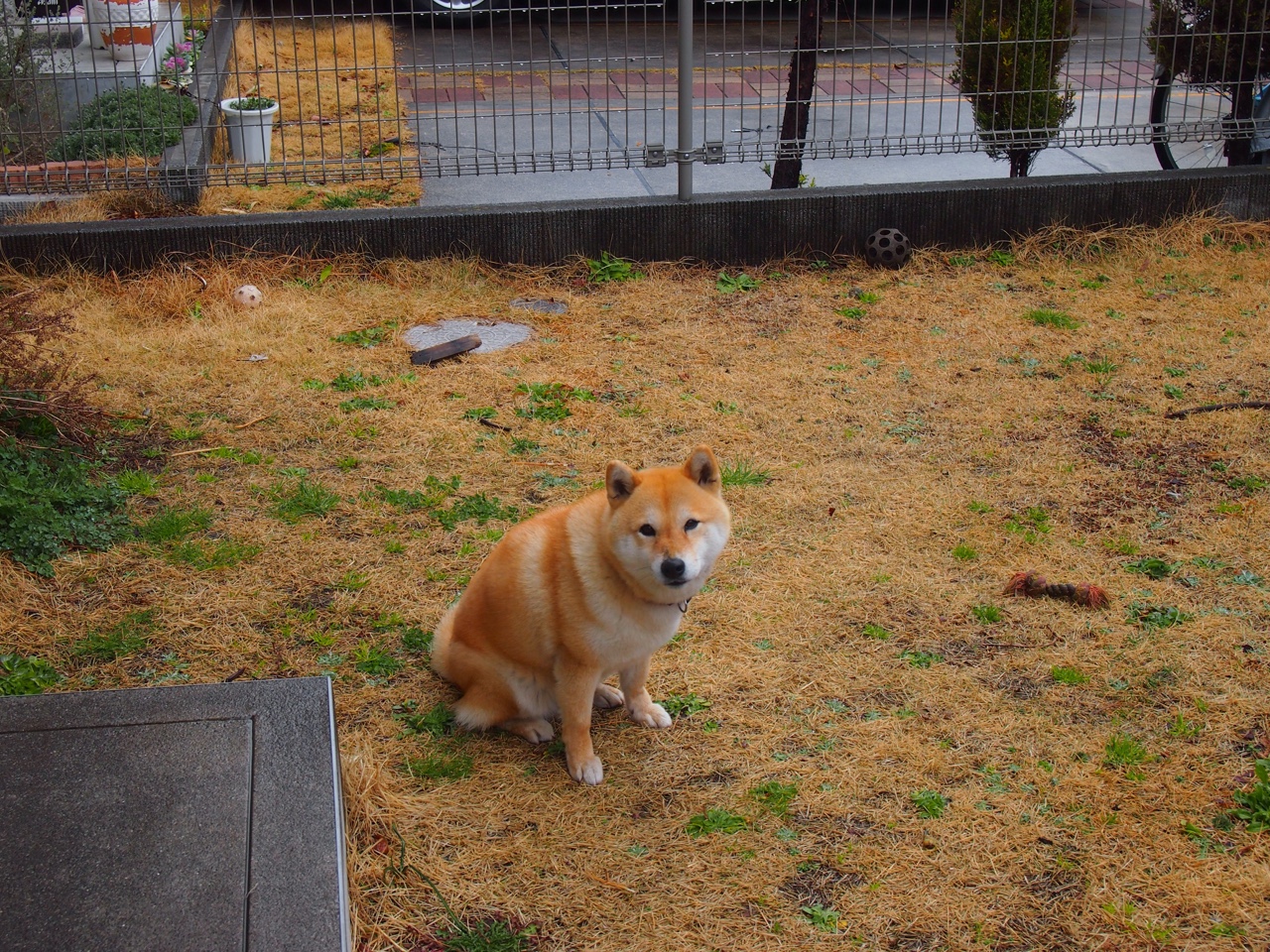 攀岩比赛首次设立女性专项积分榜，攀岩比赛积分规则