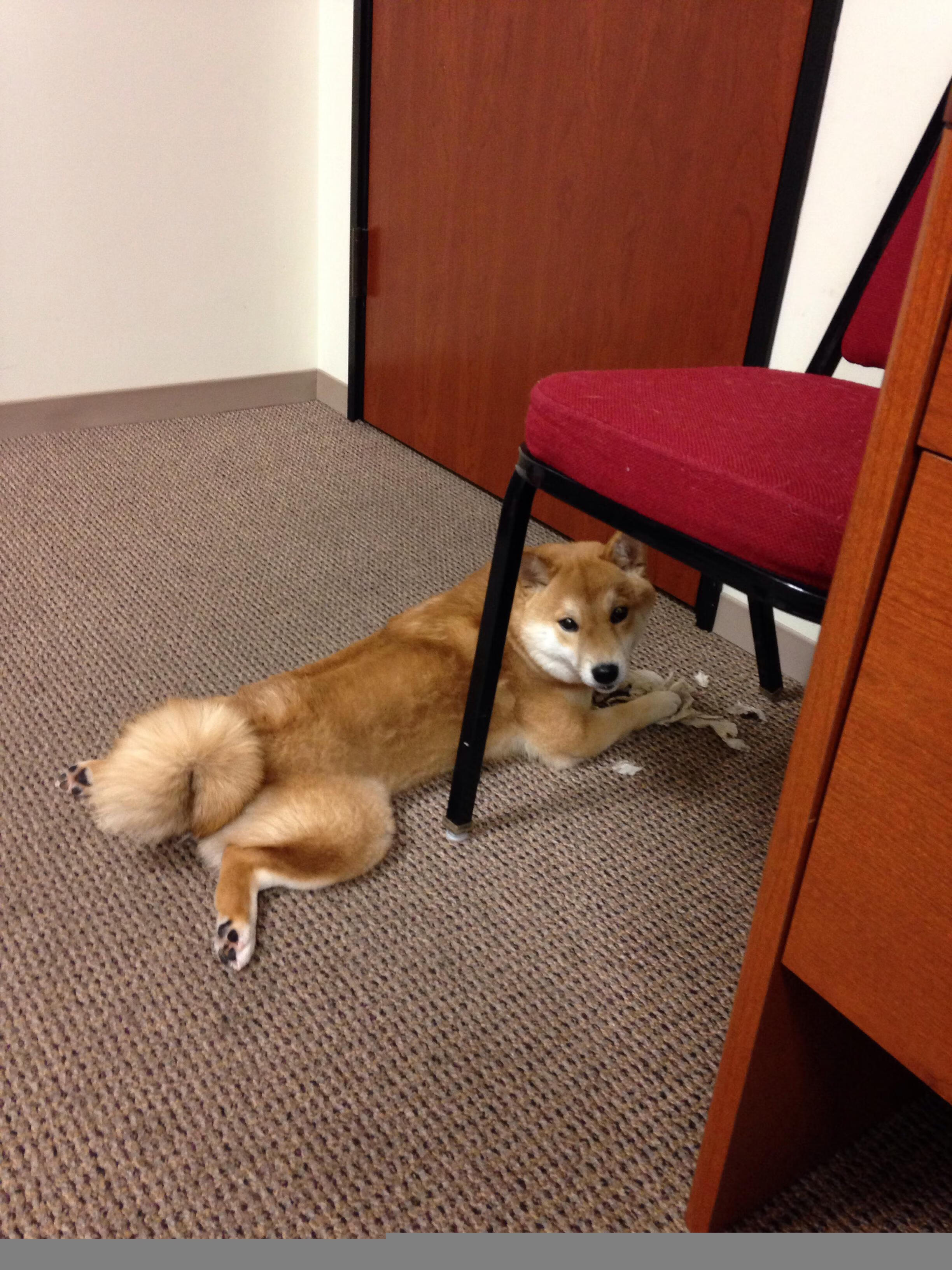 校园篮球课时不足是否影响基本功培养,篮球课时训练计划表