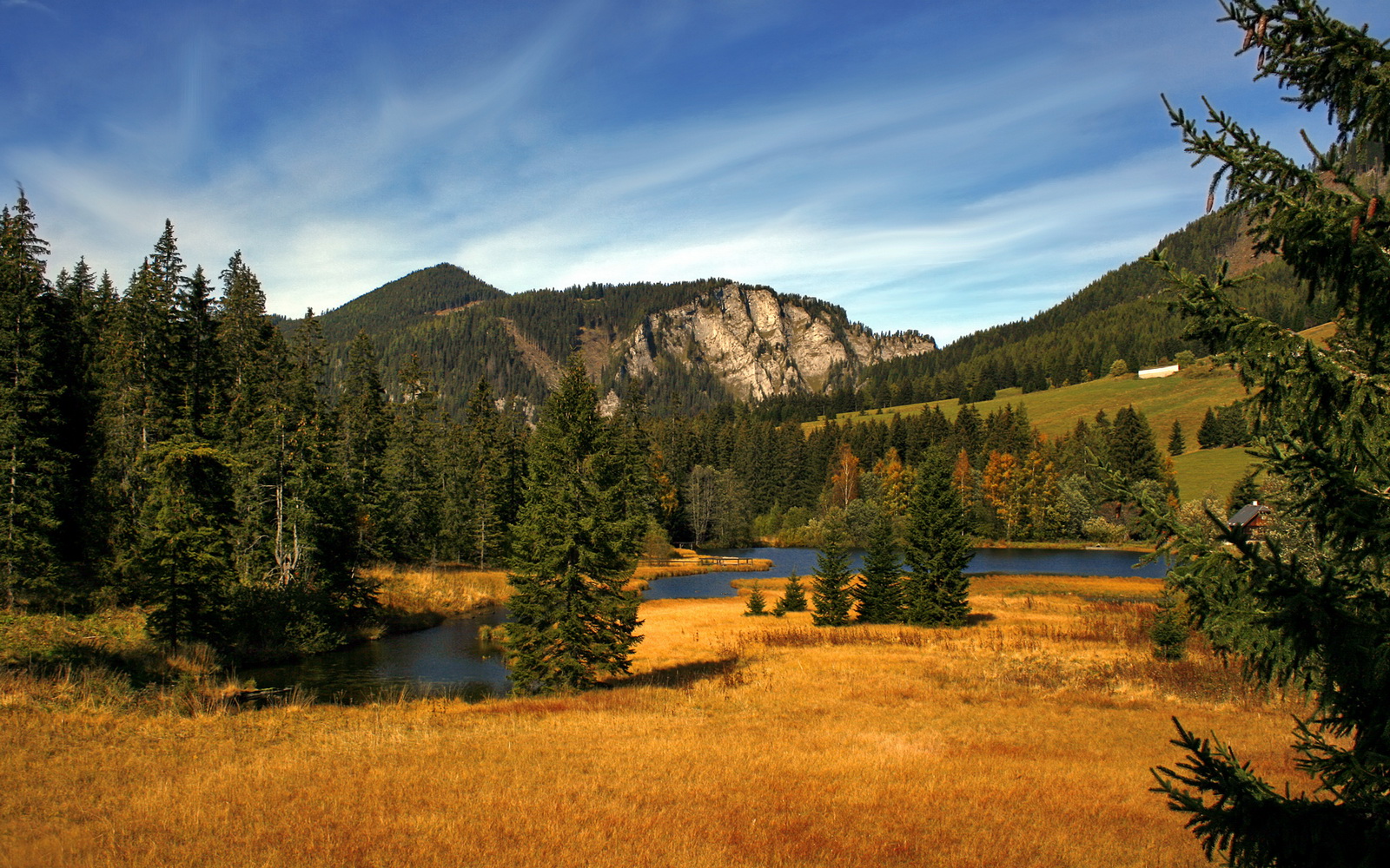 瑞典队如何迎接2024年国际乒联混合团体世界杯挑战,瑞典乒乓球公开赛冠军是谁