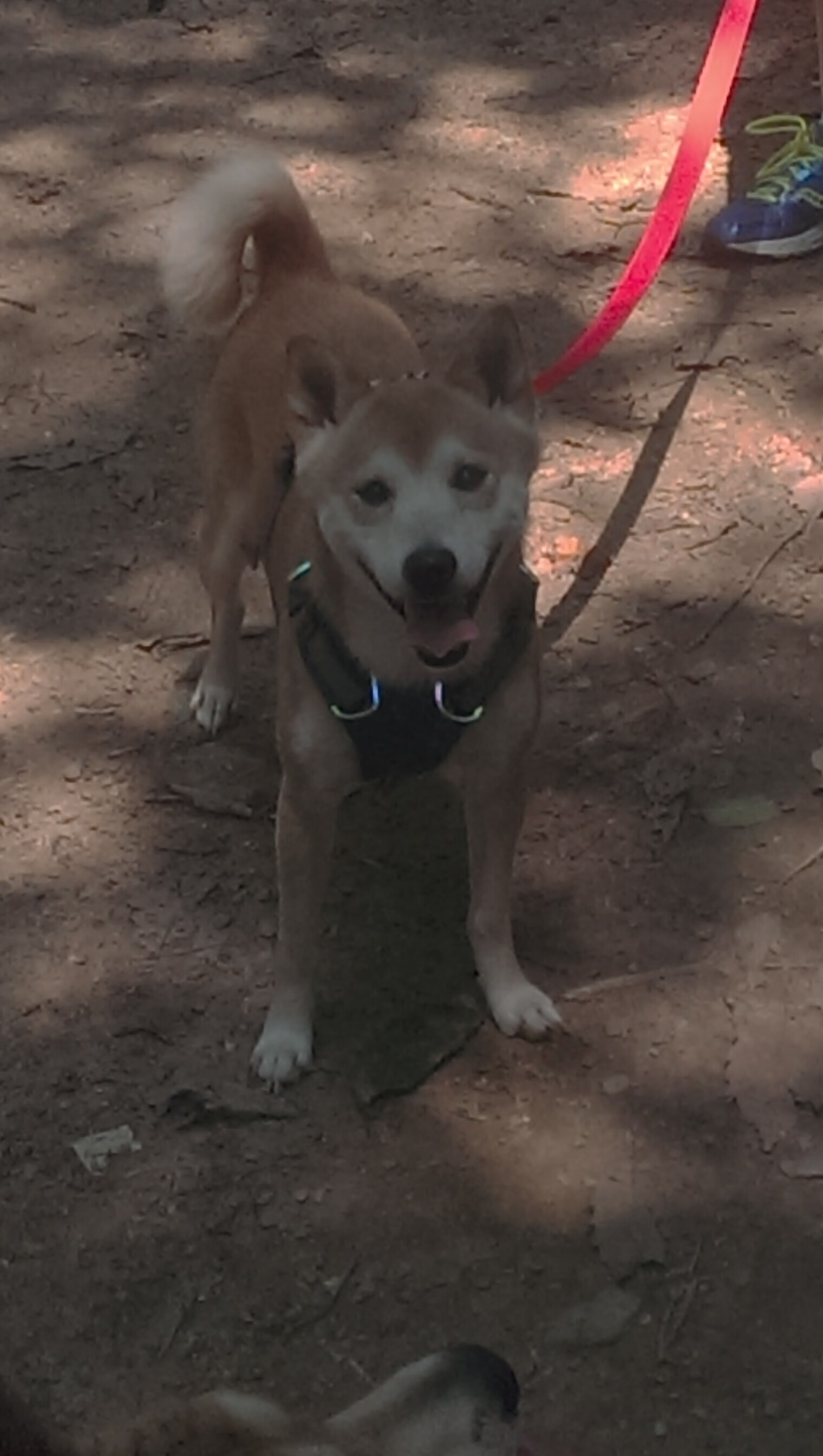 世界杯激情四溢:每一秒都引爆现场,世界杯激动人心时刻