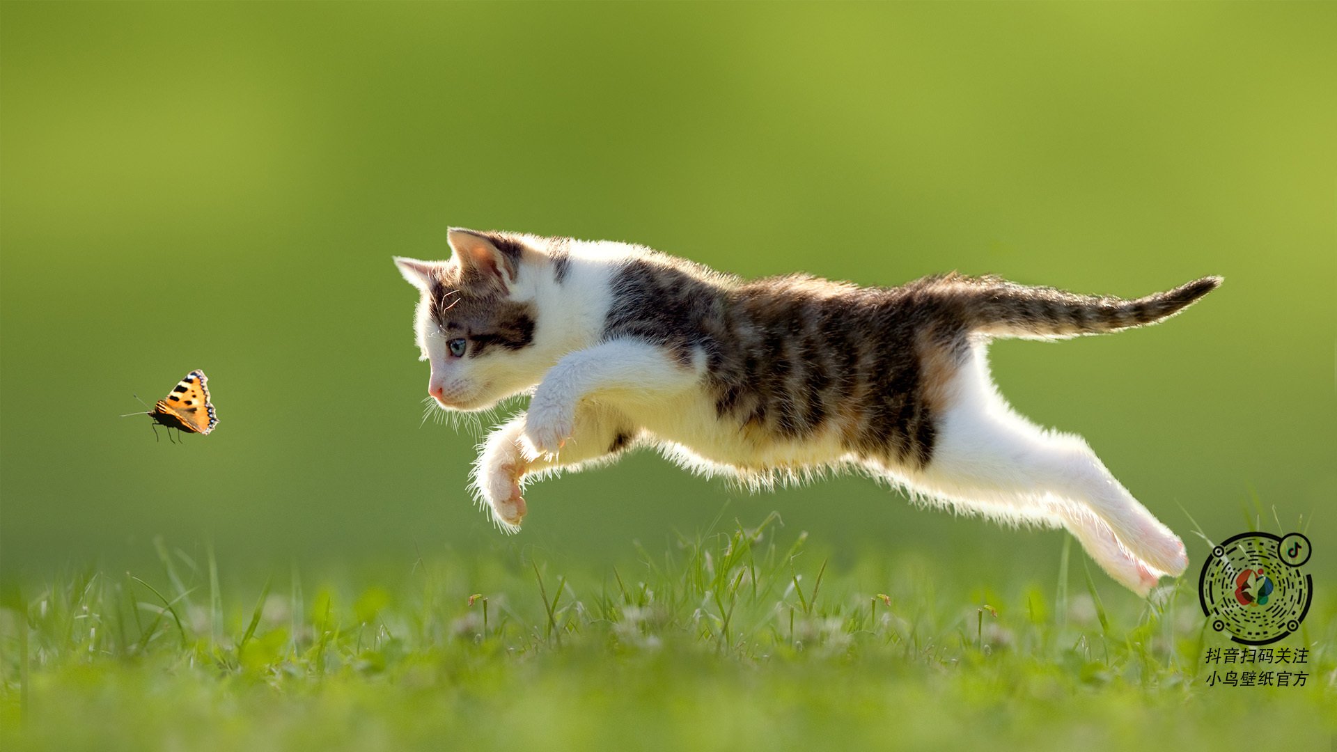 爱游戏官方-乌干达女篮在非洲锦标赛中持续突破，体育事业源源不断向前推进