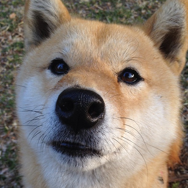 乌干达女篮在非洲锦标赛中奋勇崛起,期待佳绩不断刷新,乌干达篮球比赛