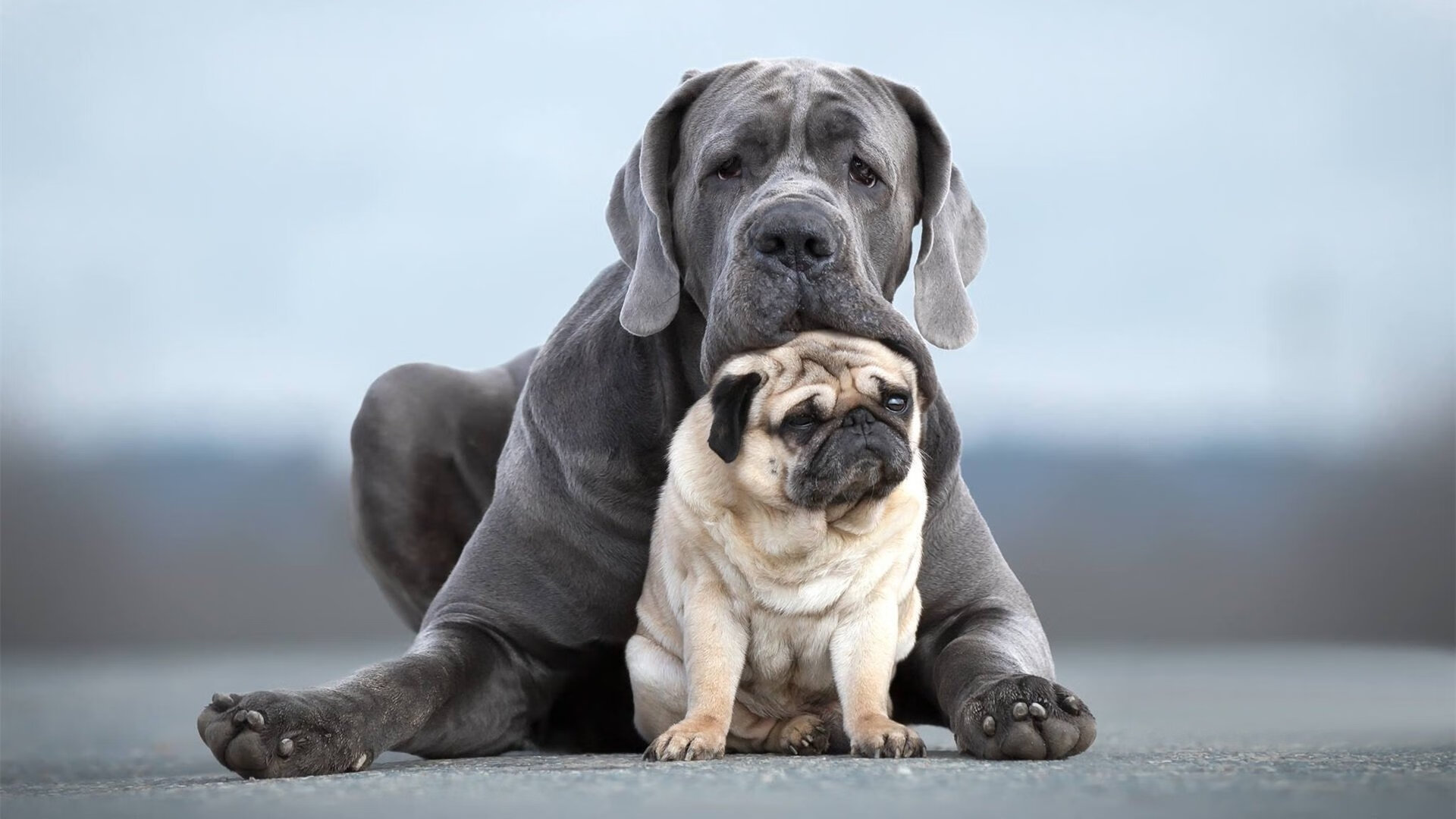 女子超级联赛品牌升级吸引更多主流赞助,2021女子足球超级联赛